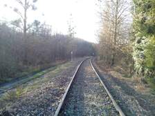 292135