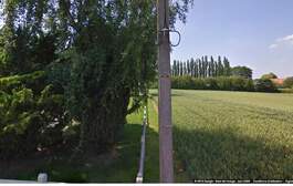 293019