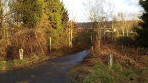 293159