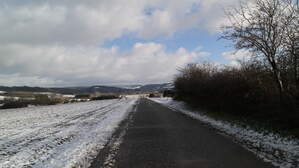 293325