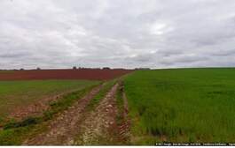 293749