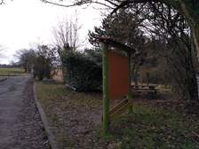 294363