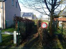 294624