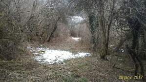 294648