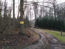 294660