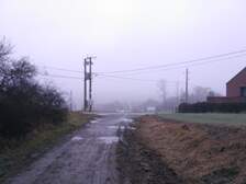 294975