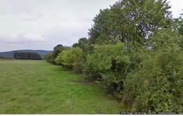 295775