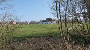 296164
