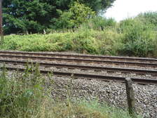 29909