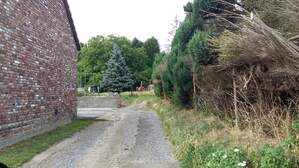 302261