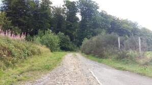 302762