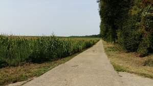 303240