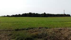 303250
