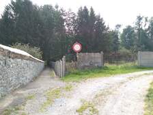 303881