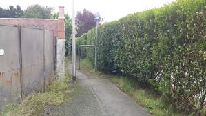 303921