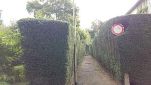 303923