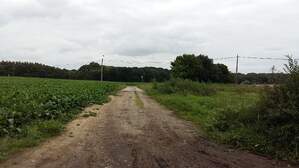 303968