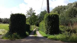 305938