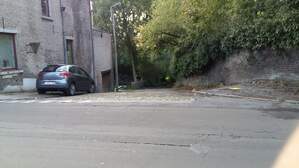 306015