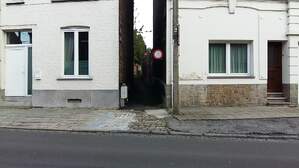 306017