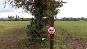 306104