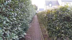 306311