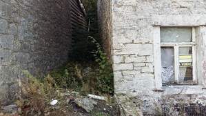 306391