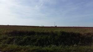 306487