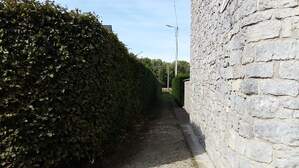 306522