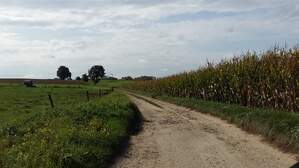 307249