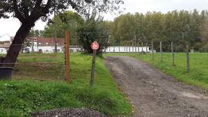 307324
