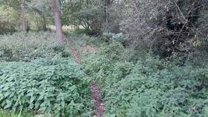 307331