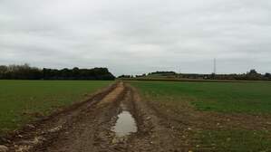 307344