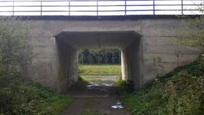 307516