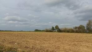 307531