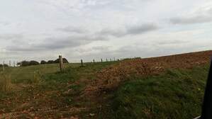 307538