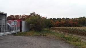 307633