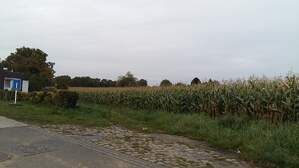 307634