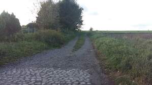 307697