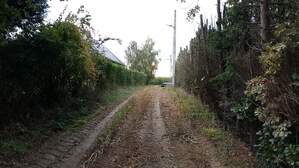 307934