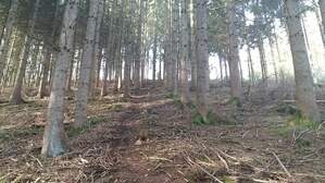 309578