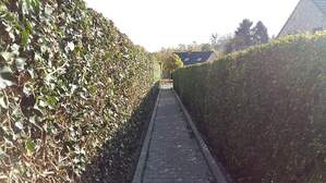 309634