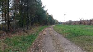 309839