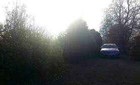 310046