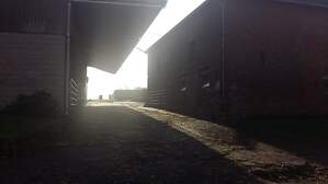 310075