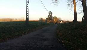 310396
