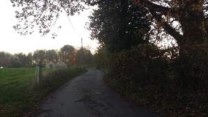 310423