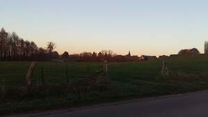 310437