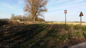 313263