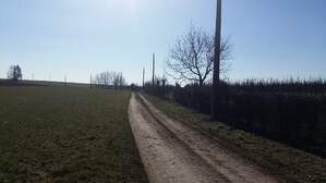 313536